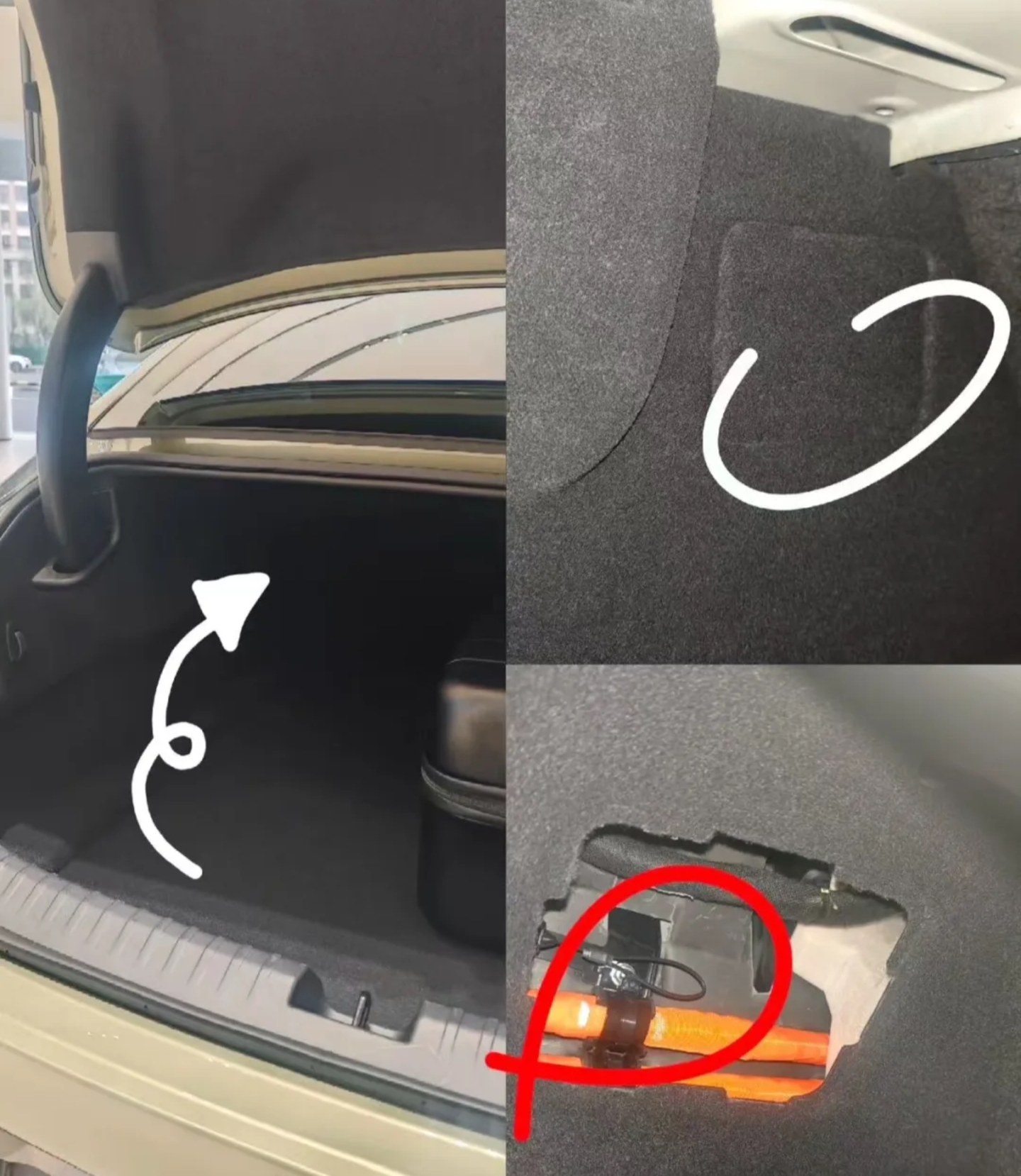 IMG_20250926_190641.jpg IMG_20250926_190641.jpg